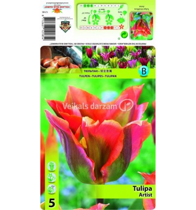 TULPES ARTIST