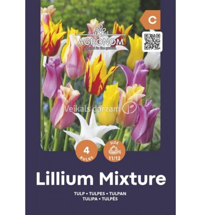 TULPES MIX LILYFLOWERING MIXED