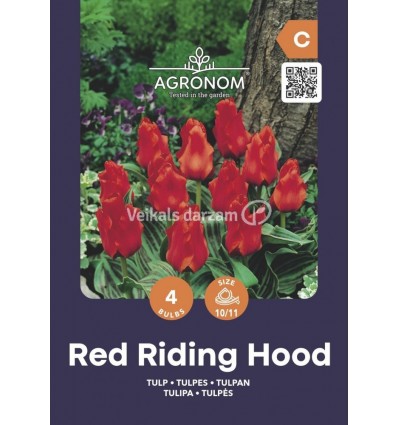 TULPES RED REDDING HOOD