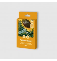 VASARAS SAULGRIEZES YELLOW GIANT 80G