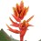 EHMEJA (AECHMEA) ELEGANT FLAMES 12Ø45H