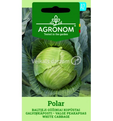 GALVIŅKĀPOSTI POLAR