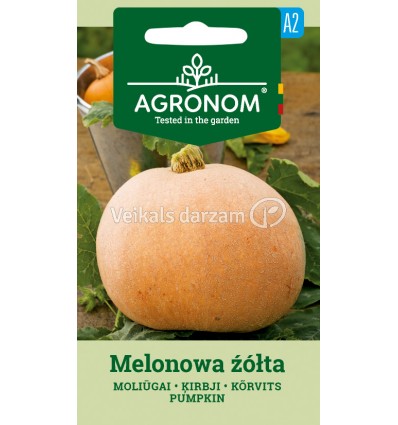 ĶIRBJI MELONOWA ŻÓŁTA