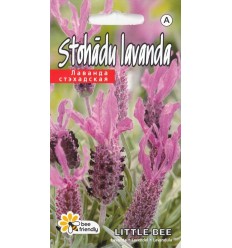 STOHĀDU LAVANDA PEDUNCULATA