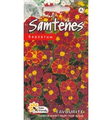 SAMTENES ZEMĀS FAVOURITE