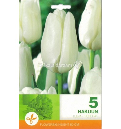 TULPES HAKUUN