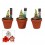 AMARILLIS (HIPPEASTRUM) ARR. TERRACOTA 13Ø25H