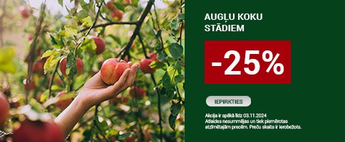 AUGLU KOKU STADIEM